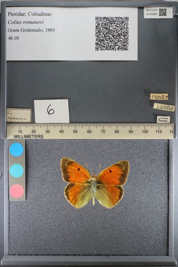 Media type: image;   Entomology 193883
